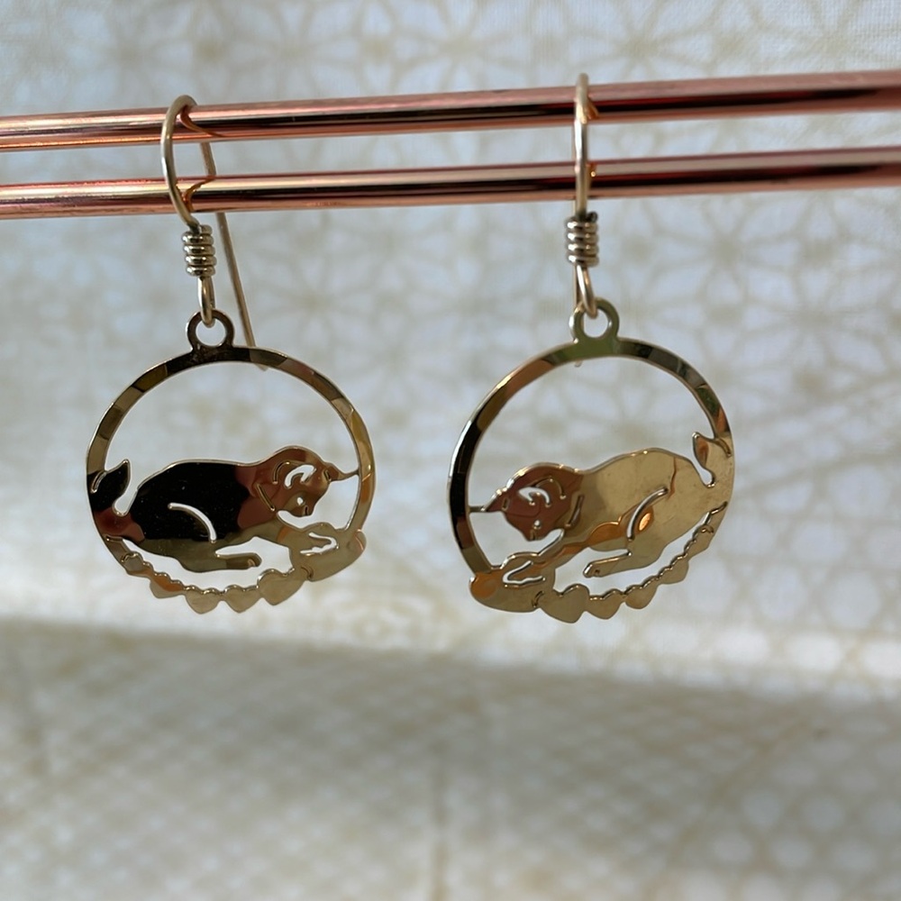 Cute cats playing Earrings.